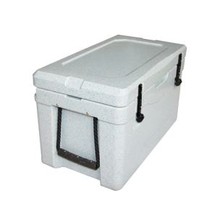30L Insulated Medicine Plastic Cooler Box