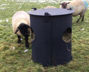 Plastic Feeders For Sheep