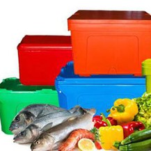 Insulated Fishing Box