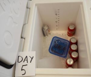 PE Material Multifunction Cooler Box