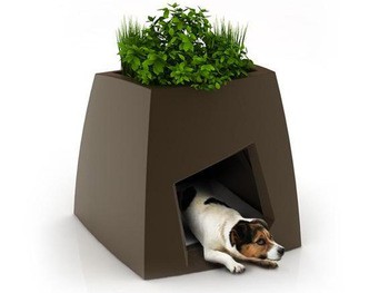 Plastic Dog House