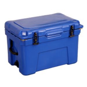 Portable Plastic Cooler Storage Box